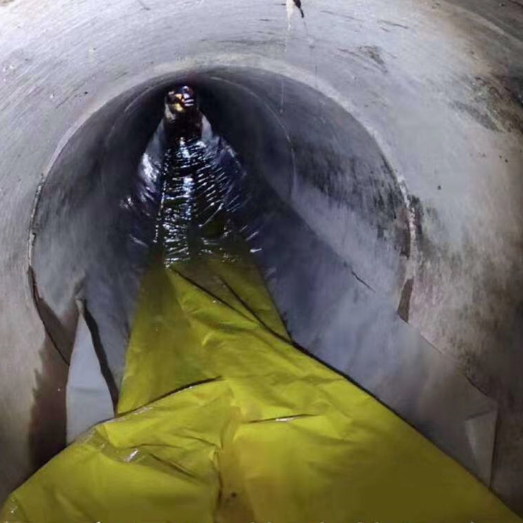 廉江管道光固化修复